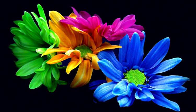 سری چهل و چهارم بک گراند های جذاب   Beautiful Wallpapers