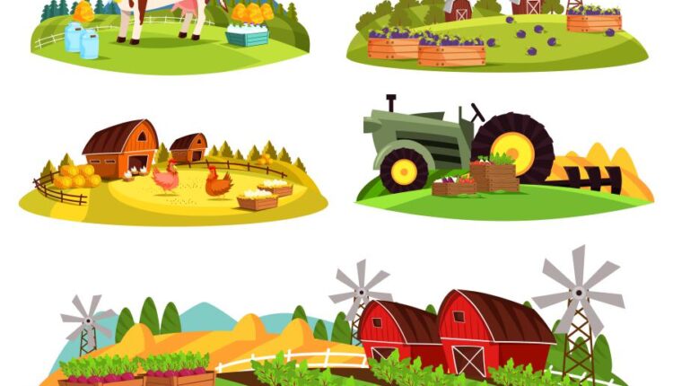 مجموعه تصویرسازی های مزرعه   Farm natural products