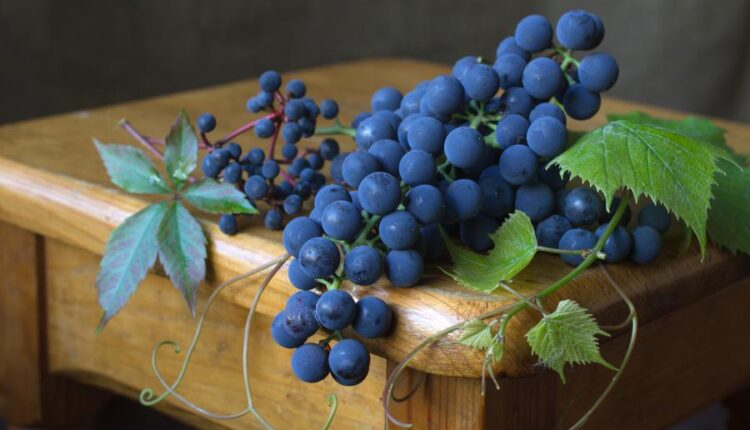 سری چهل و نهم عکس زمینه زیبا و جذاب   Beautiful Wallpapers