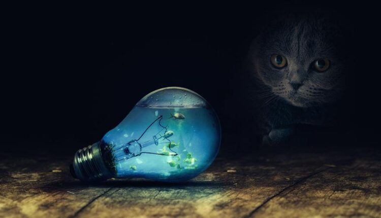 سری چهل و نهم عکس زمینه زیبا و جذاب   Beautiful Wallpapers