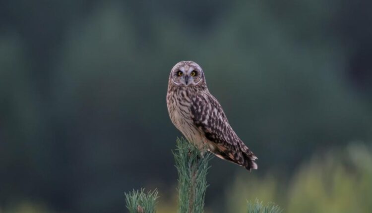 سری چهل و نهم عکس زمینه زیبا و جذاب   Beautiful Wallpapers