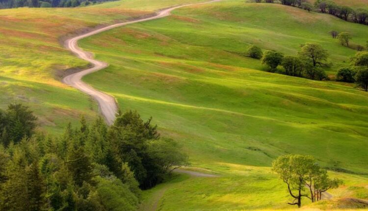 سری چهل و نهم عکس زمینه زیبا و جذاب   Beautiful Wallpapers