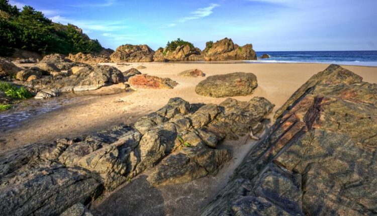 سری چهل و نهم عکس زمینه زیبا و جذاب   Beautiful Wallpapers