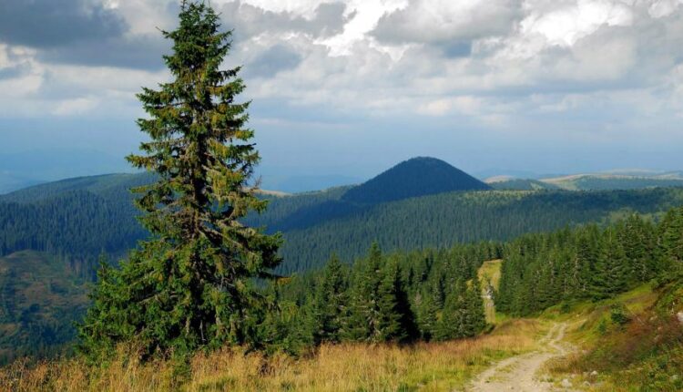 سری چهل و نهم عکس زمینه زیبا و جذاب   Beautiful Wallpapers