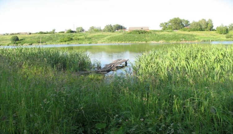 سری چهل و نهم عکس زمینه زیبا و جذاب   Beautiful Wallpapers