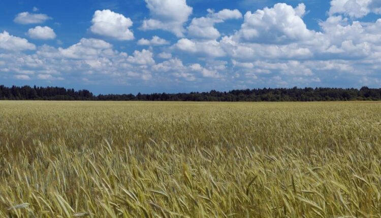 سری چهل و نهم عکس زمینه زیبا و جذاب   Beautiful Wallpapers