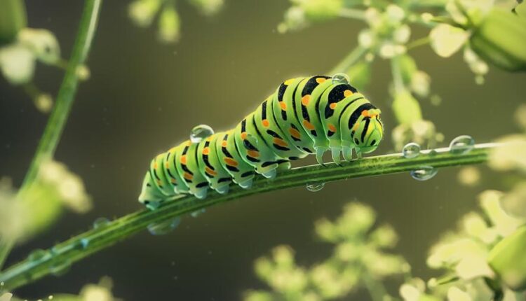 بک گراند جذاب