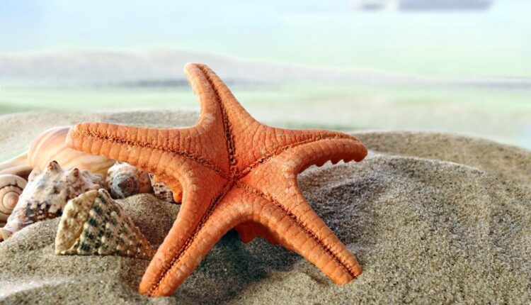 سری چهل و نهم عکس زمینه زیبا و جذاب   Beautiful Wallpapers