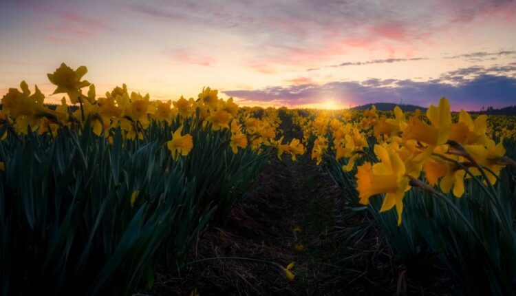 سری چهل و نهم عکس زمینه زیبا و جذاب   Beautiful Wallpapers