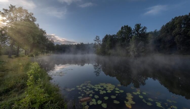 سری چهل و نهم عکس زمینه زیبا و جذاب   Beautiful Wallpapers