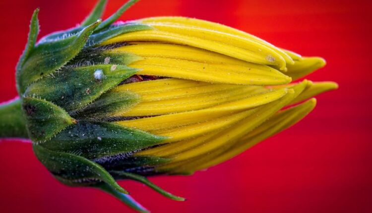 سری چهل و نهم عکس زمینه زیبا و جذاب   Beautiful Wallpapers