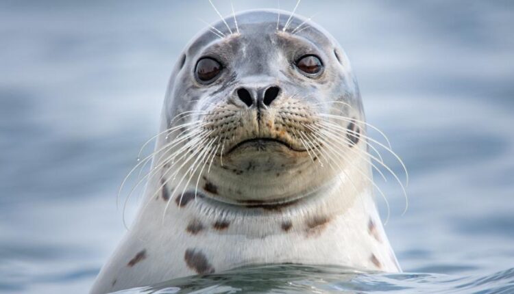 سری چهل و نهم عکس زمینه زیبا و جذاب   Beautiful Wallpapers