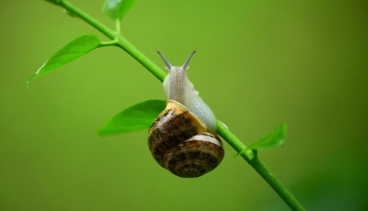 سری پنجاه والپیپر زیبا و جذاب   Beautiful Wallpapers