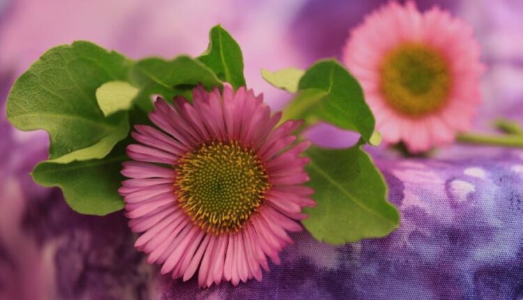 سری پنجاه والپیپر زیبا و جذاب   Beautiful Wallpapers