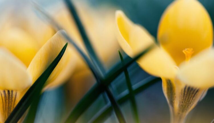 سری پنجاه والپیپر زیبا و جذاب   Beautiful Wallpapers