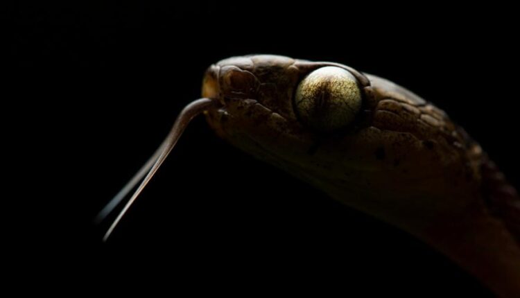 والپیپر مشکی