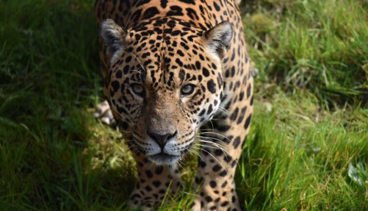 سری پنجاه والپیپر زیبا و جذاب   Beautiful Wallpapers