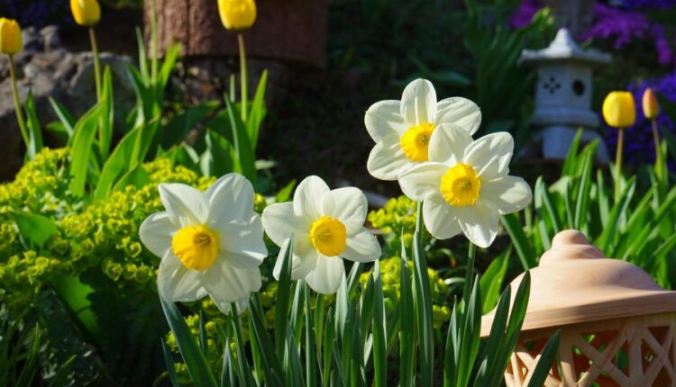 سری پنجاه والپیپر زیبا و جذاب   Beautiful Wallpapers