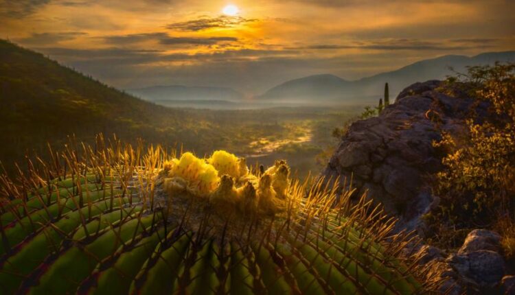 سری پنجاه والپیپر زیبا و جذاب   Beautiful Wallpapers