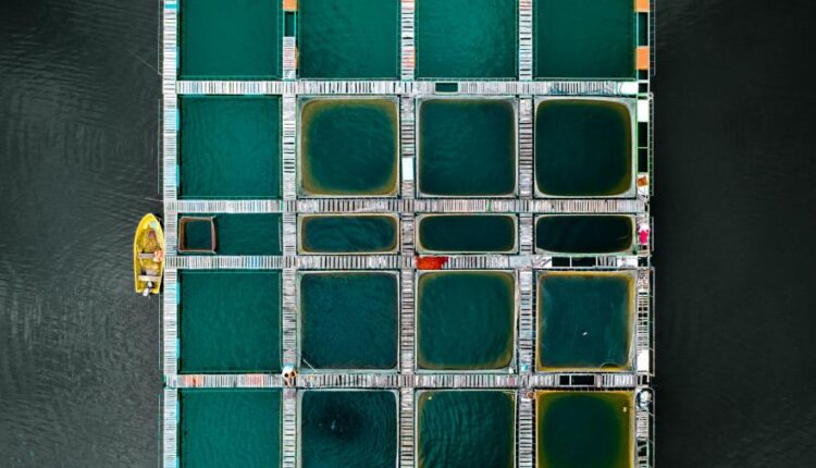 سری پنجاه والپیپر زیبا و جذاب   Beautiful Wallpapers