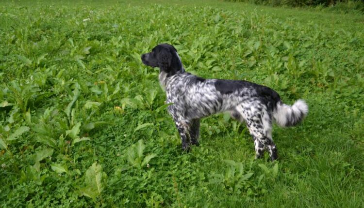 سری پنجاه والپیپر زیبا و جذاب   Beautiful Wallpapers