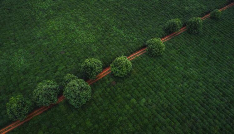 سری پنجاه والپیپر زیبا و جذاب   Beautiful Wallpapers