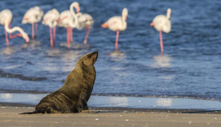 سری پنجاه والپیپر زیبا و جذاب   Beautiful Wallpapers