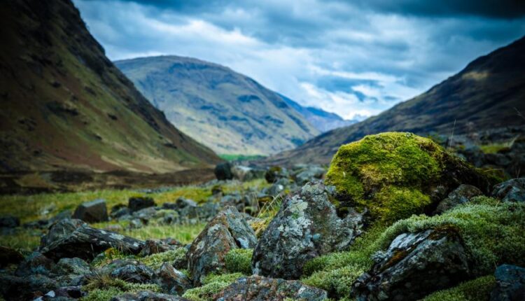 سری پنجاه و یک بک گراند زیبا و جذاب   Beautiful Wallpapers