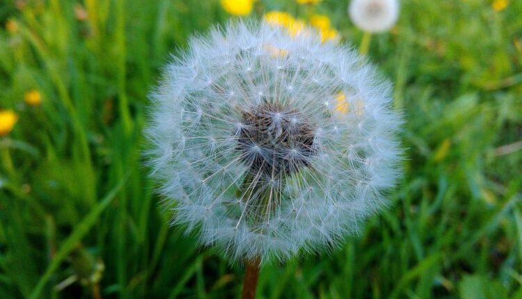 سری پنجاه و یک بک گراند زیبا و جذاب   Beautiful Wallpapers