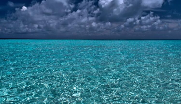 سری پنجاه و یک بک گراند زیبا و جذاب   Beautiful Wallpapers