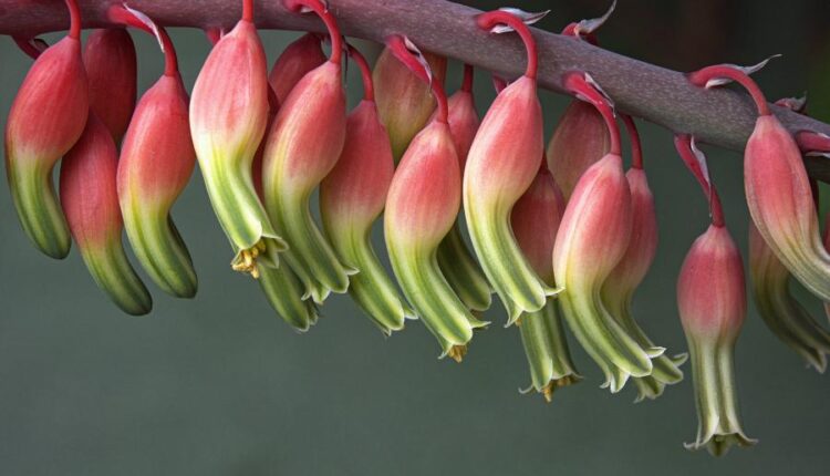 سری پنجاه و یک بک گراند زیبا و جذاب   Beautiful Wallpapers