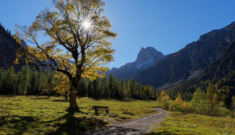 سری پنجاه و یک بک گراند زیبا و جذاب   Beautiful Wallpapers