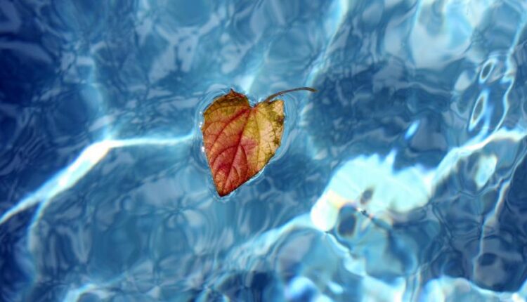 سری پنجاه و یک بک گراند زیبا و جذاب   Beautiful Wallpapers