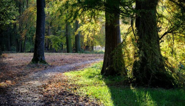 سری چهل و ششم تصویر زمینه زیبا و جذاب   Beautiful Wallpapers