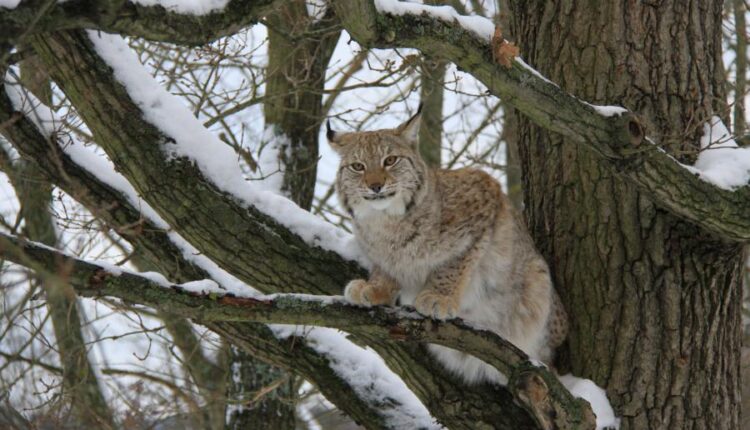 سری چهل و ششم تصویر زمینه زیبا و جذاب   Beautiful Wallpapers