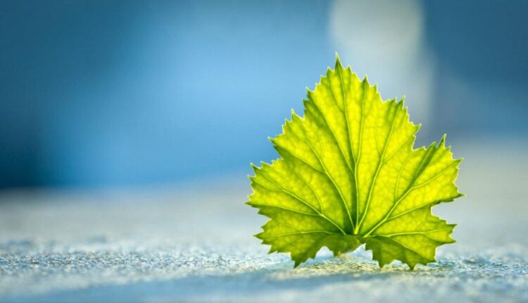 سری چهل و ششم تصویر زمینه زیبا و جذاب   Beautiful Wallpapers