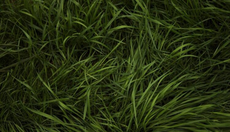 سری چهل و ششم تصویر زمینه زیبا و جذاب   Beautiful Wallpapers