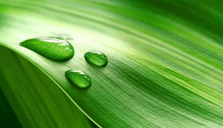 سری چهل و ششم تصویر زمینه زیبا و جذاب   Beautiful Wallpapers