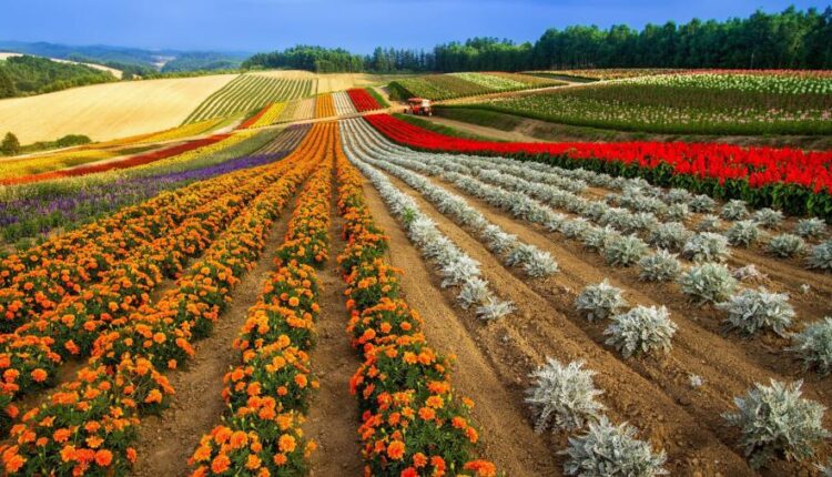 سری چهل و ششم تصویر زمینه زیبا و جذاب   Beautiful Wallpapers