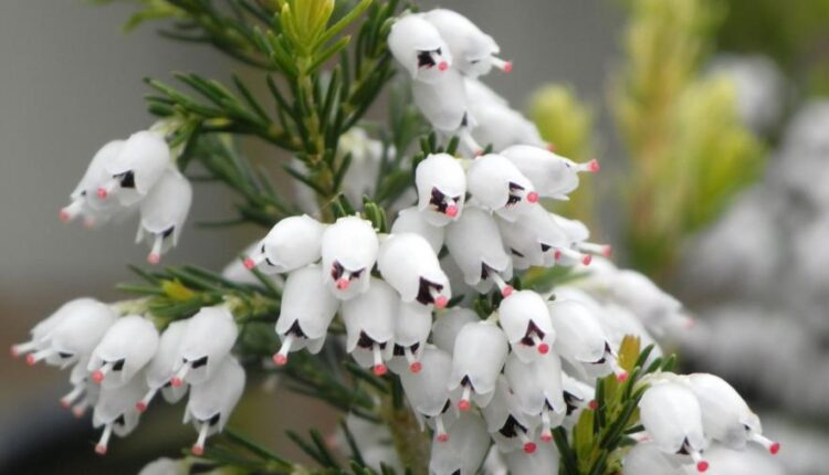 سری چهل و ششم تصویر زمینه زیبا و جذاب   Beautiful Wallpapers