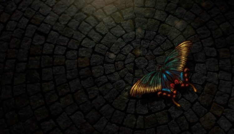 سری چهل و ششم تصویر زمینه زیبا و جذاب   Beautiful Wallpapers