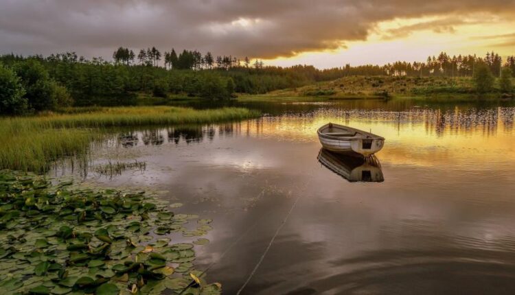 سری چهل و ششم تصویر زمینه زیبا و جذاب   Beautiful Wallpapers