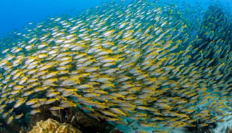 سری چهل و ششم تصویر زمینه زیبا و جذاب   Beautiful Wallpapers