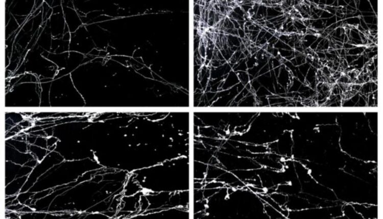 تکسچر بافت سنگ مرمر   Marble Backgrounds Textures