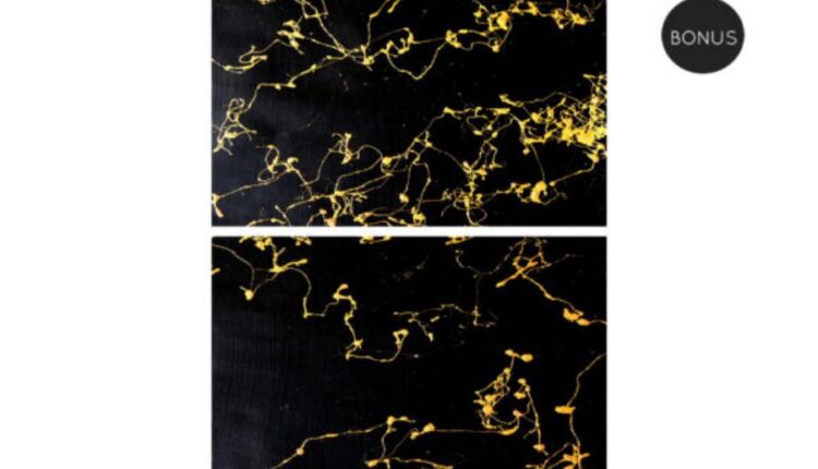 تکسچر بافت سنگ مرمر   Marble Backgrounds Textures