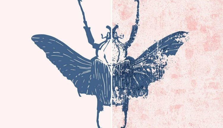 تکسچر بافت هافتون   Blackview Texture Set