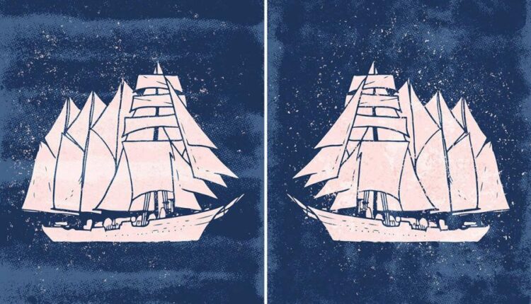 تکسچر بافت هافتون   Blackview Texture Set