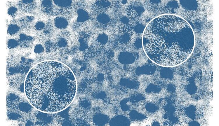 تکسچر بافت هافتون   Blackview Texture Set