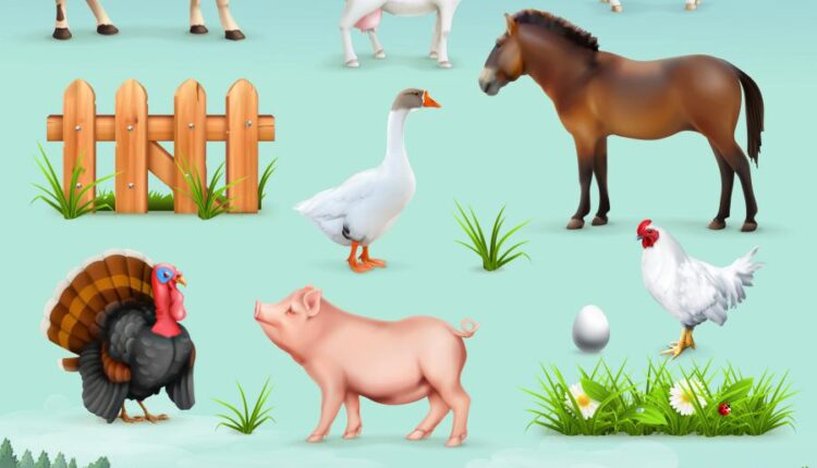 مجموعه تصویرسازی های مزرعه   Farm natural products