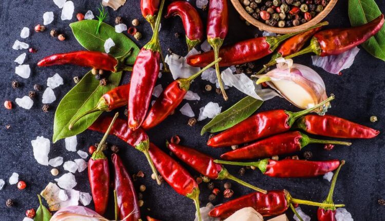 تصاویر استوک فلفل های قرمز با پس زمینه مشکی   Chili Peppers